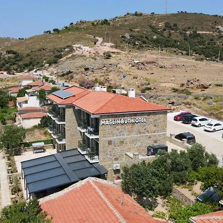 Maslin Hotel *