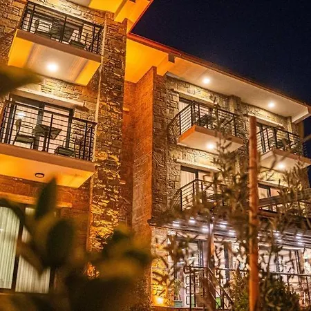 Hotel Maslin